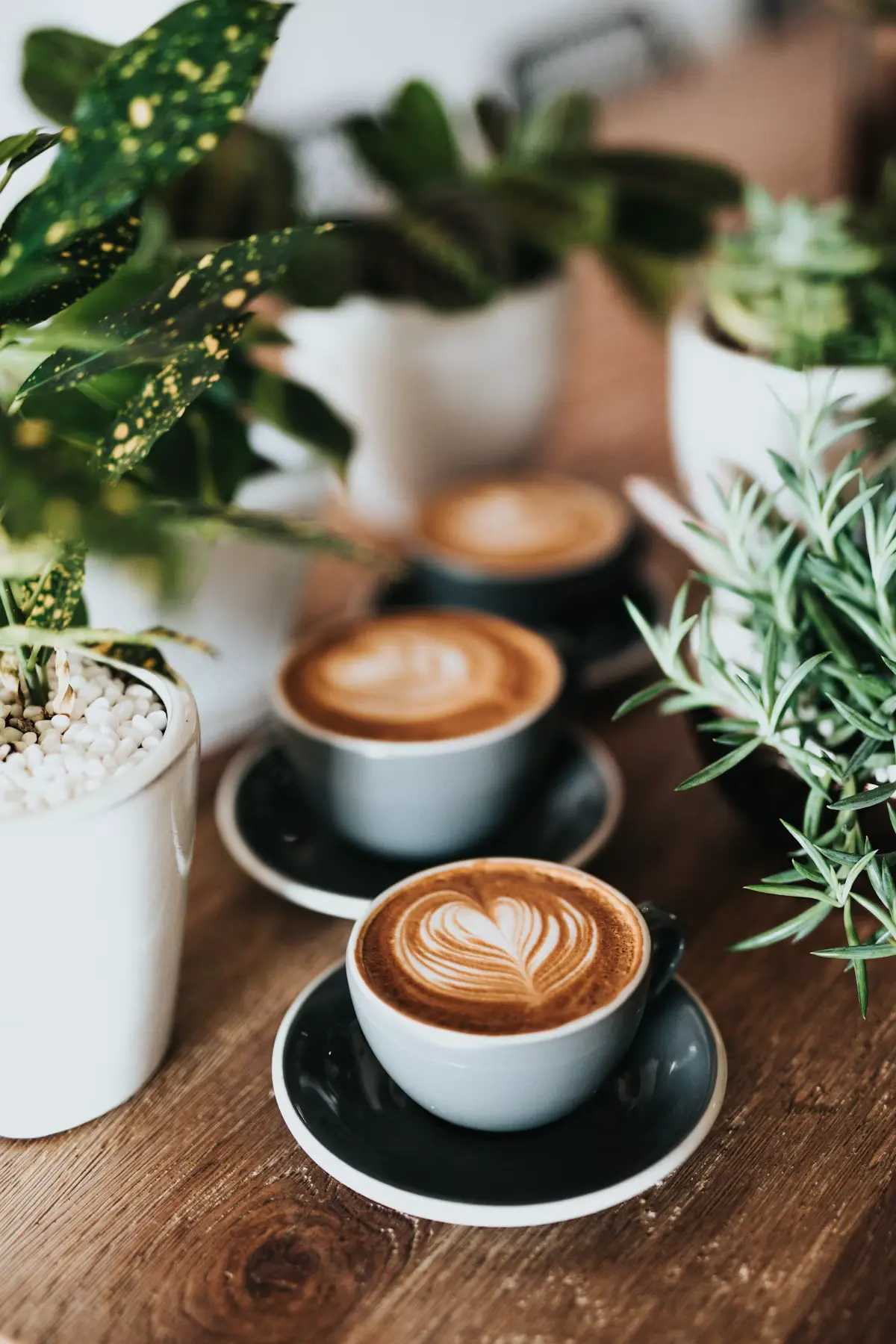 Two lattes on a table